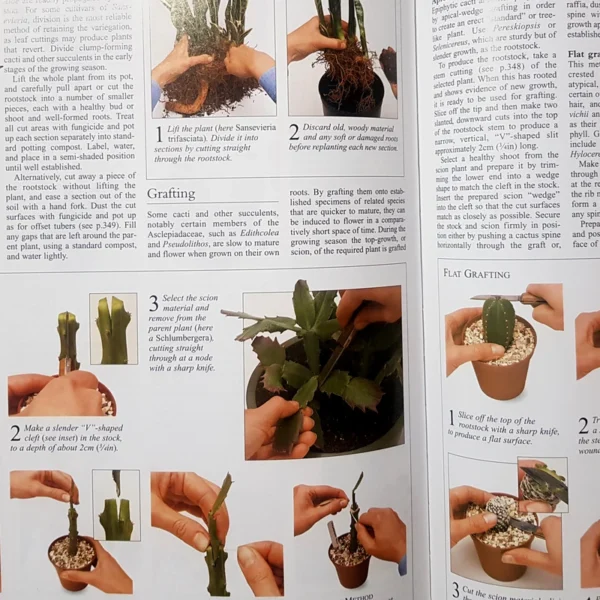 کتاب ENCYCLOPEDIA OF GARDENING اثر جمعی از نویسندگان انتشارات DK کد 120