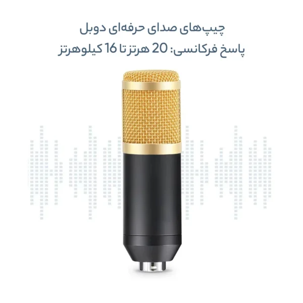 میکروفن کندانسر مدل BM-800 به همراه کابل کد 38