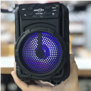 اسپیکر گریت نایس مدل GTS 1360 کد 3849