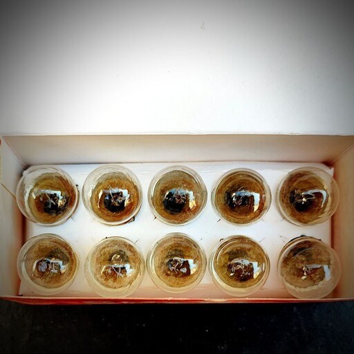 لامپ فندوقی مناسب خودرو (بسته 10 عددی) کد B8539